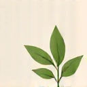 Icon pentru suport natural